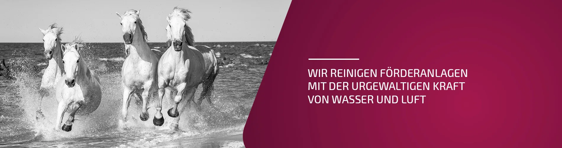 BRIGE Fördertechnik – Industrielle Förderkettenreinigung mit B-CLEAN® System